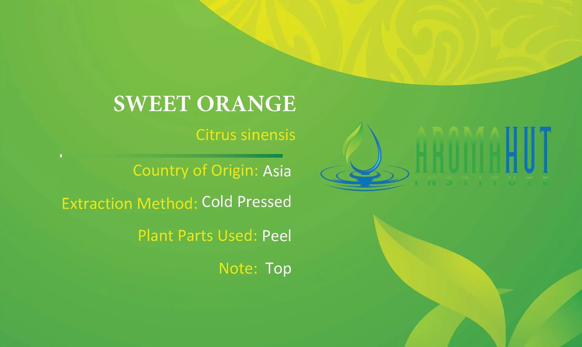 Sweet Orange Essential Oil | Aroma Hut Institute