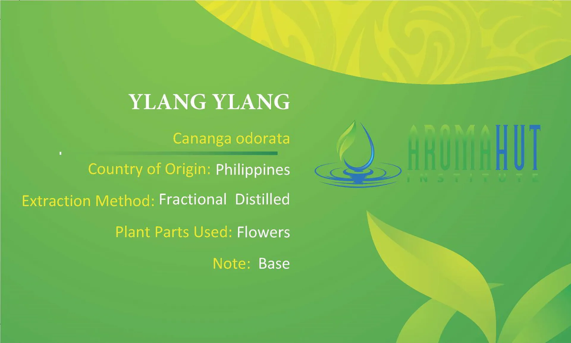 Ylang Ylang Essential Oil | Aroma Hut Institute