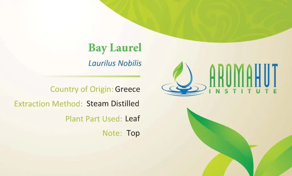 Bay Laurel Essential Oil | Aroma Hut Institute