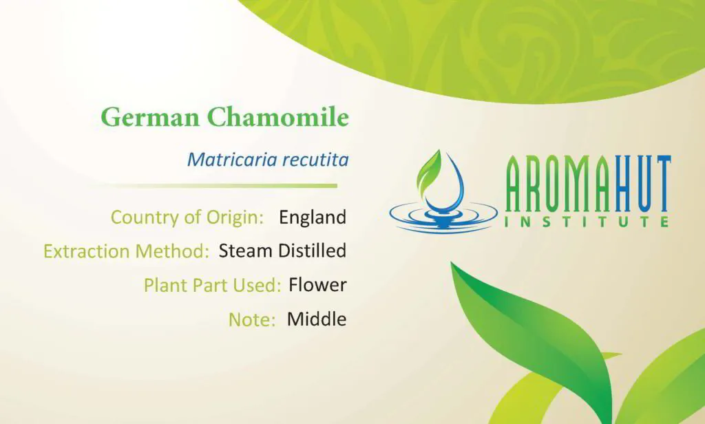 German Chamomile Essential Oil | Aroma Hut Institute
