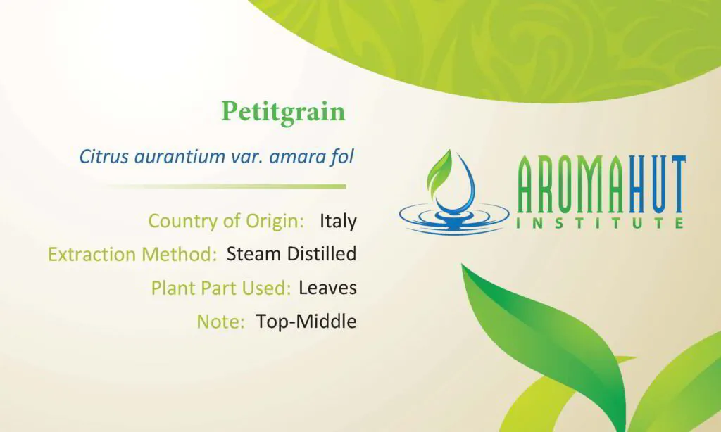 Petitgrain Essential Oil | Aroma Hut Institute
