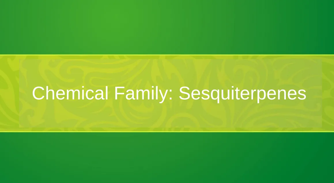 Chemical Family: Sesquiterpenes | Aroma Hut Institute