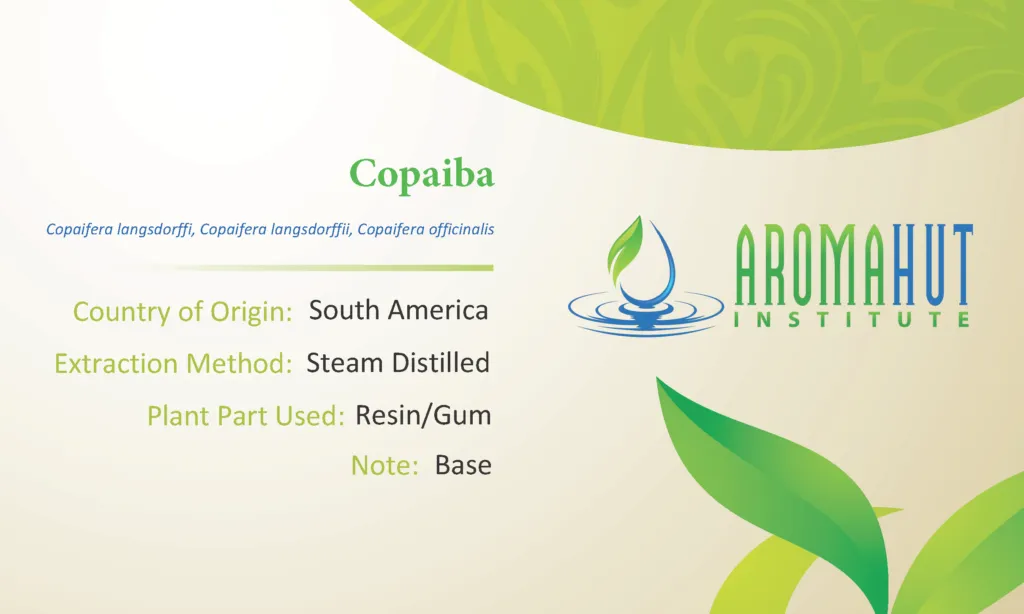 Copaiba Essential Oil | Aroma Hut Institute