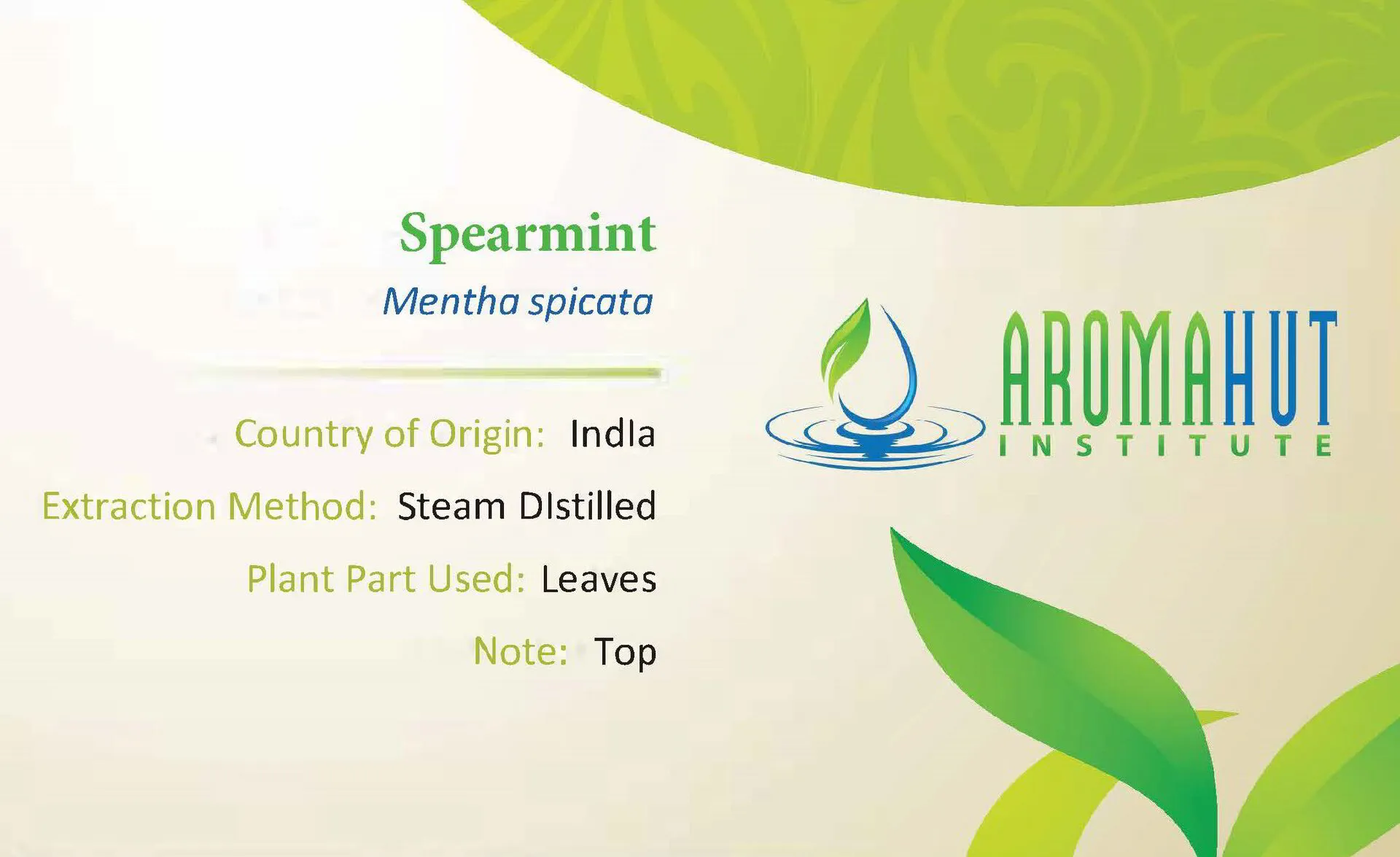 Spearmint Essential Oil | Aroma Hut Institute