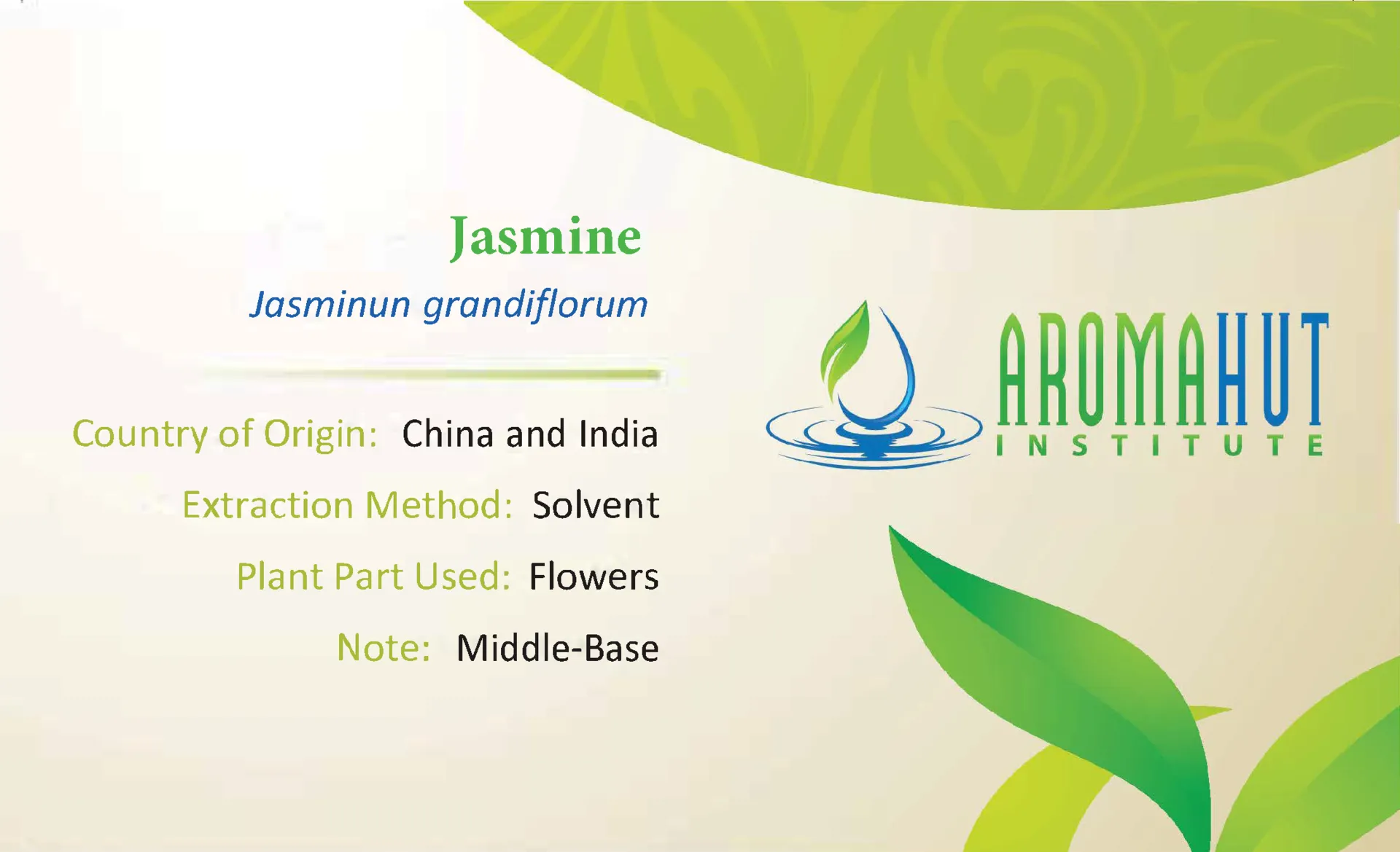 Jasmine Essential Oil | Aroma Hut Institute