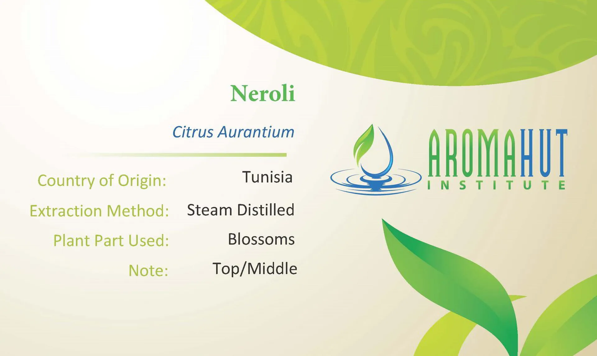 Neroli Essential Oil | Aroma Hut Institute