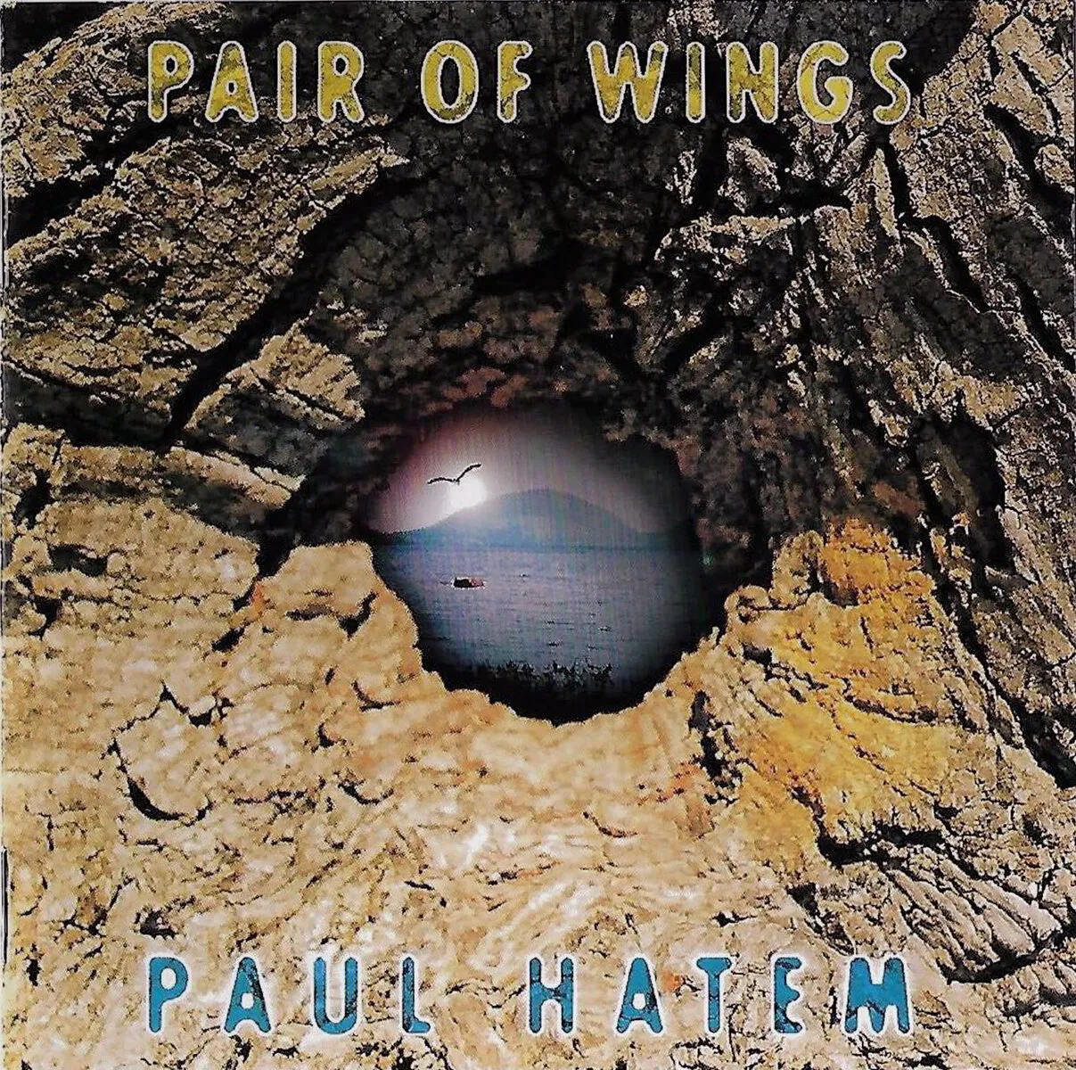 Pair of Wings - CD