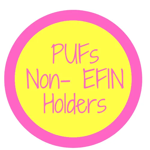 PUFs for Non-EFIN Holders