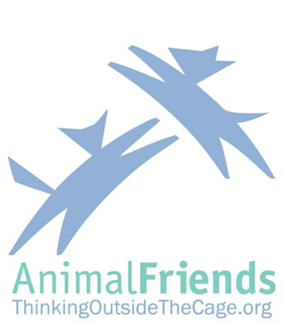 About Steel City Landscape, Inc.