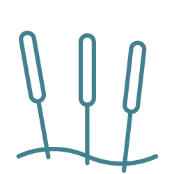 acupuncture needles icon 