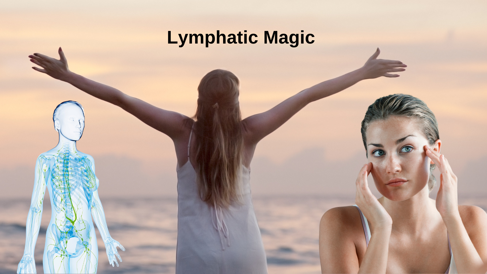 Lymphatic System Exercise Lymphatic System Exercise