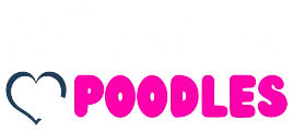Silver Ace Poodles