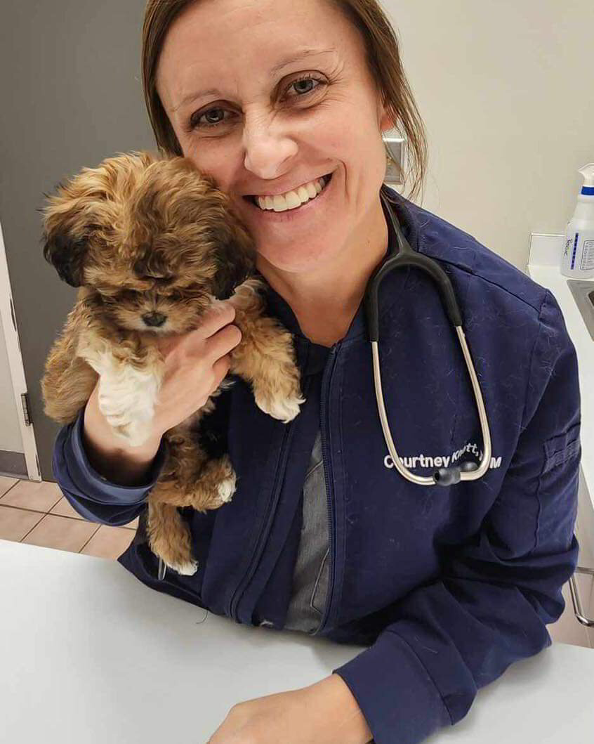 Dr. Courtney Knott - Veterinarian in Omaha, NE