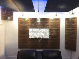 Tru-Tone Acoustic Wall & Ceiling Cladding