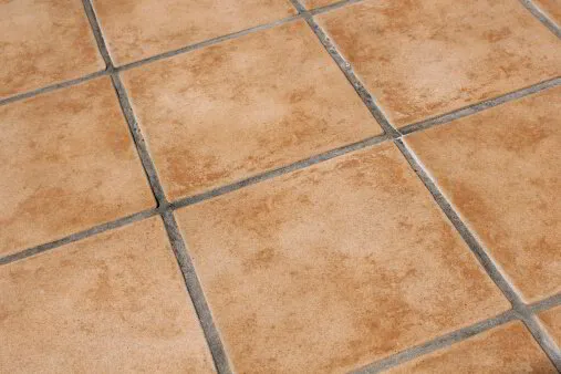 Grouting lines between ceramic tiles
