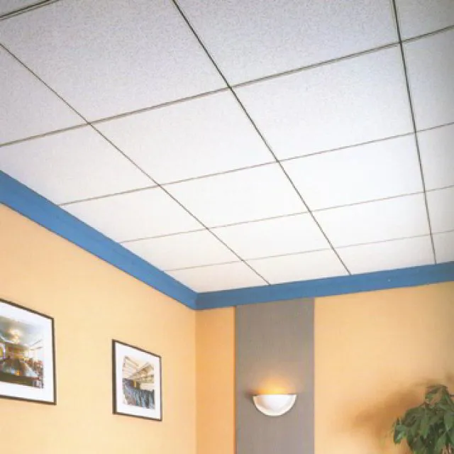 Suspended acoustic ceiling tiles