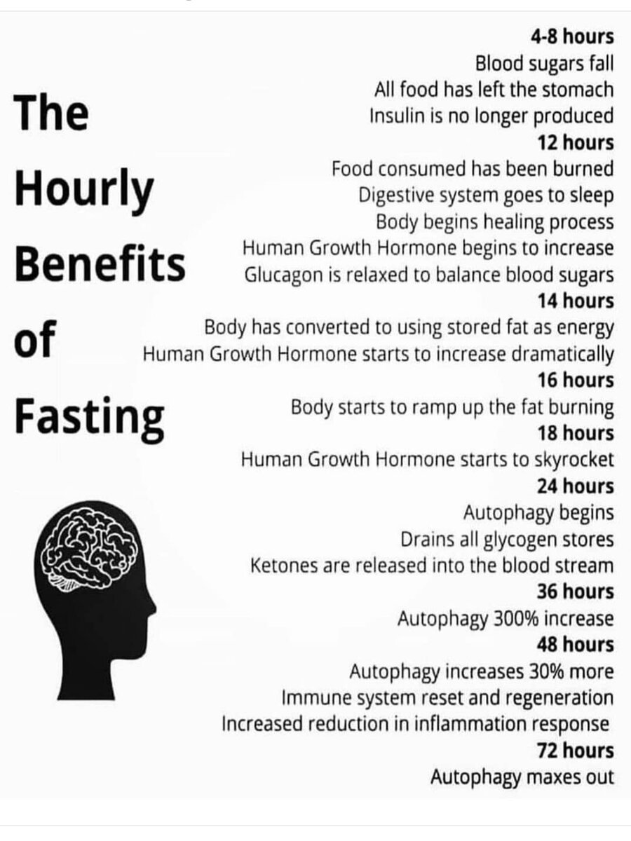 fasting-is-vital-what-happens-to-your-body-during-the-12th-hour