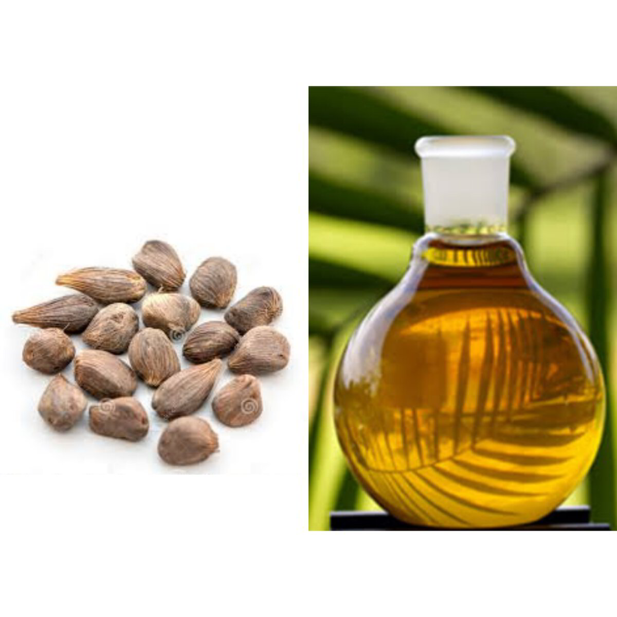 Cold Pressed Palm Kernel Oil