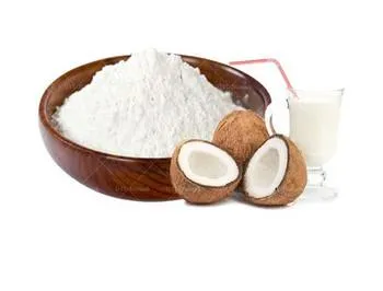 Coconut Milk Powder 500g