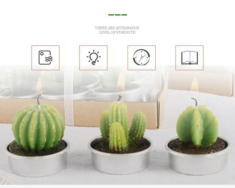 Cactus Candle - 6in1