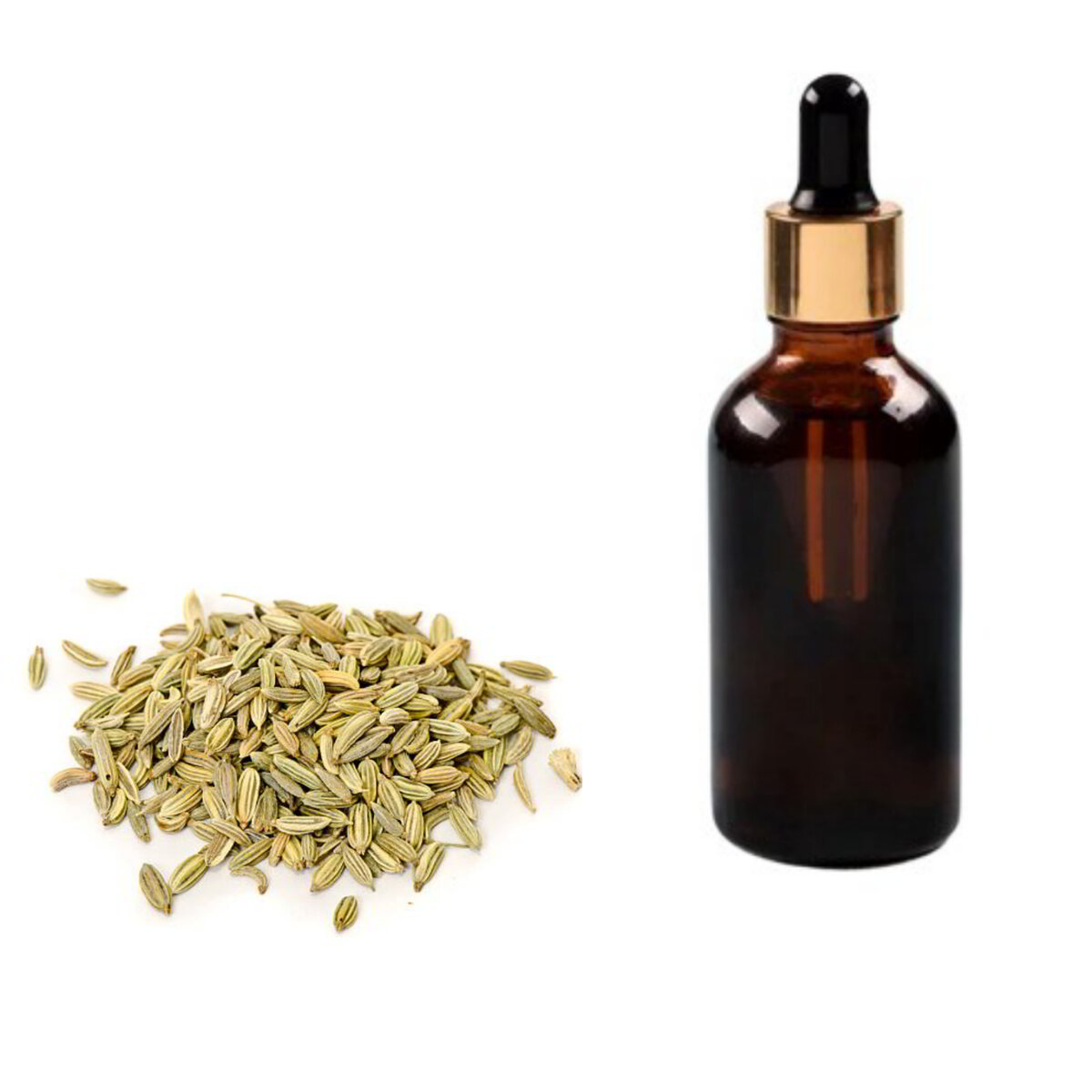 Fennel Essential Oil