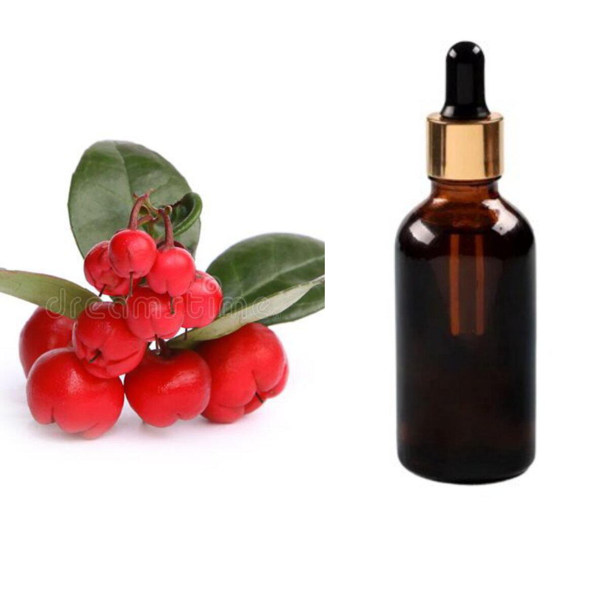 wintergreen-essential-oil