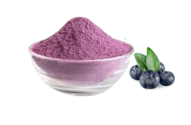 Bilberry Fruit Powder