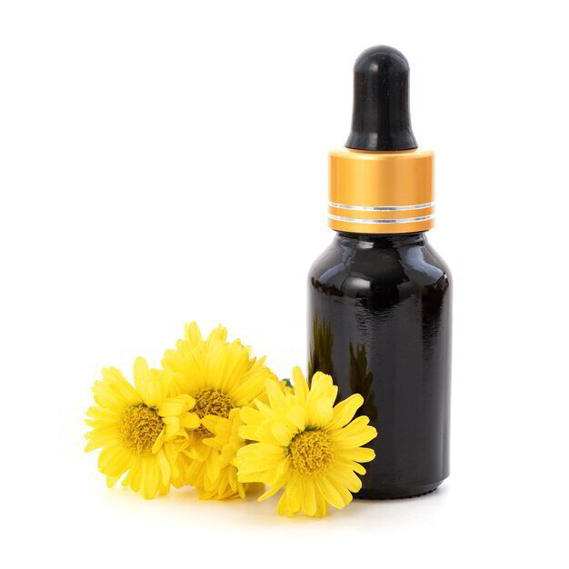 Wild Chrysanthemum Essential Oil