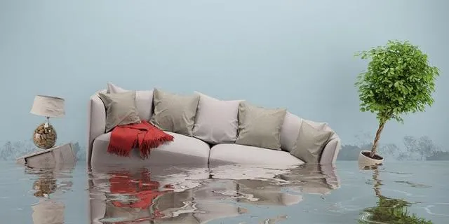 Flood Damage Controll