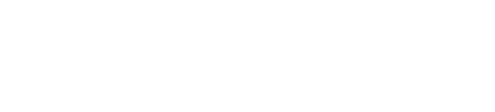 Mainer Logo