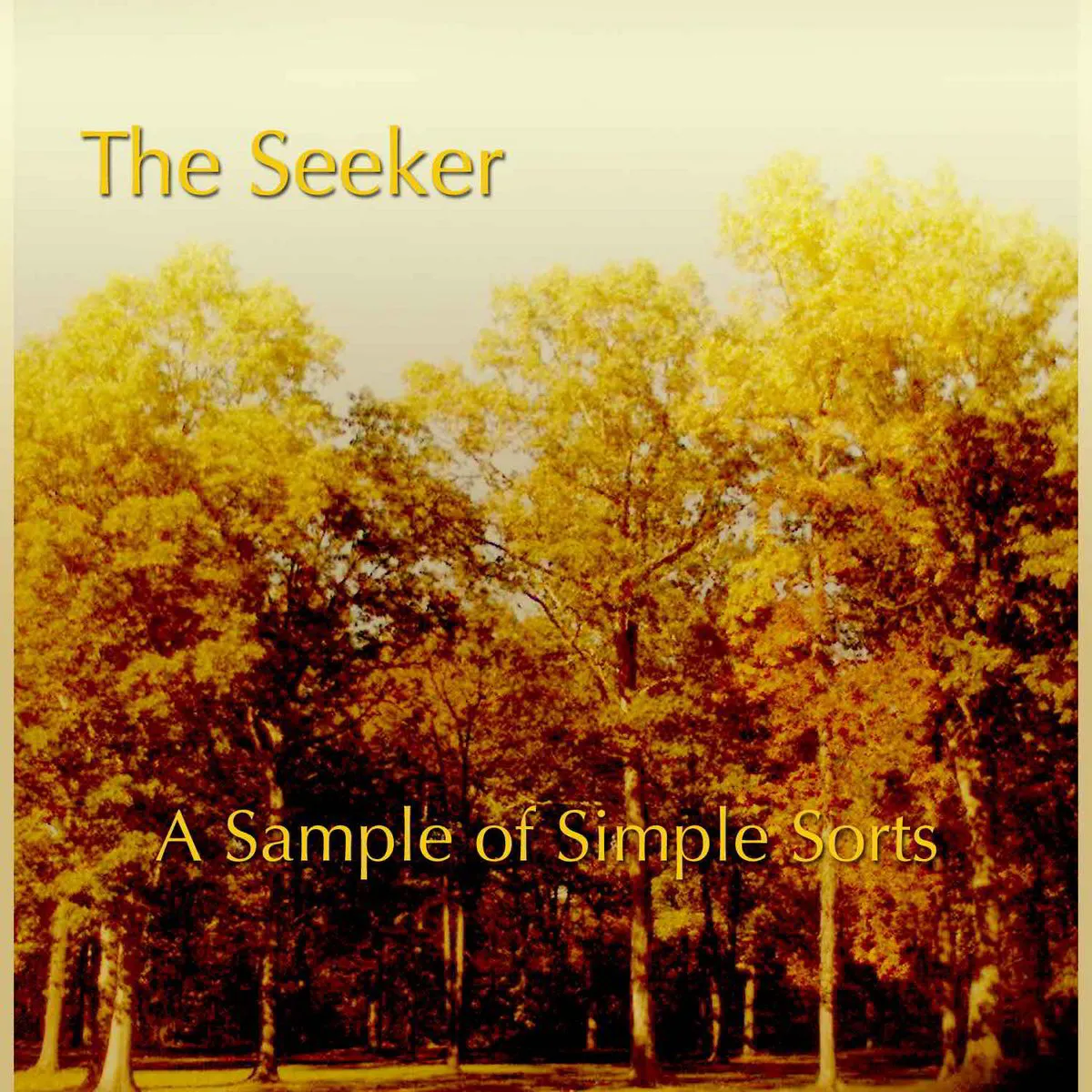 The Seeker - A Sample of Simple Sorts