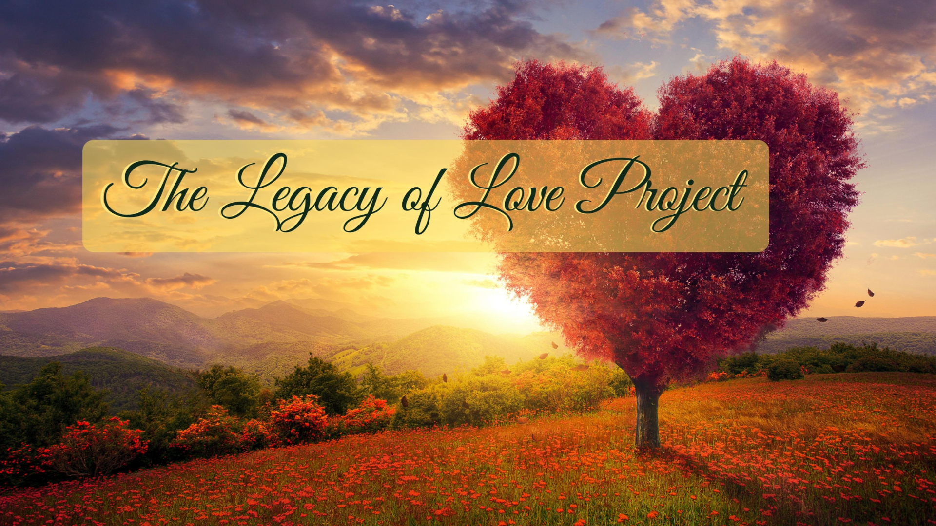 Links The Legacy of Love Project Course