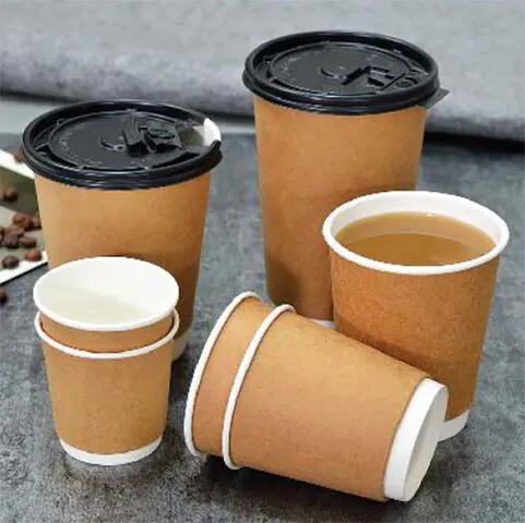 Boon_Plastic_Zone_Cup_Straw_Packaging_Double Wall-Paper Cup