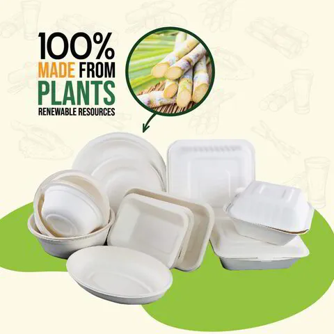 BoonPlastic_Food_packaging_Bagasse Eco Catering Disposable