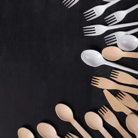 BoonPlastic_Food_packaging_Cutlery