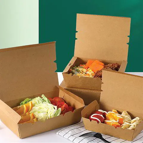 BoonPlastic_Food_packaging_Paper Lunch Box with food