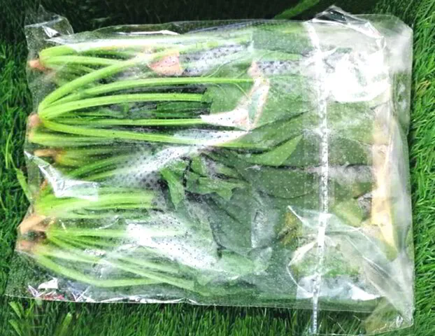 25_Boon_Plastic_VG-Vegetable Bag