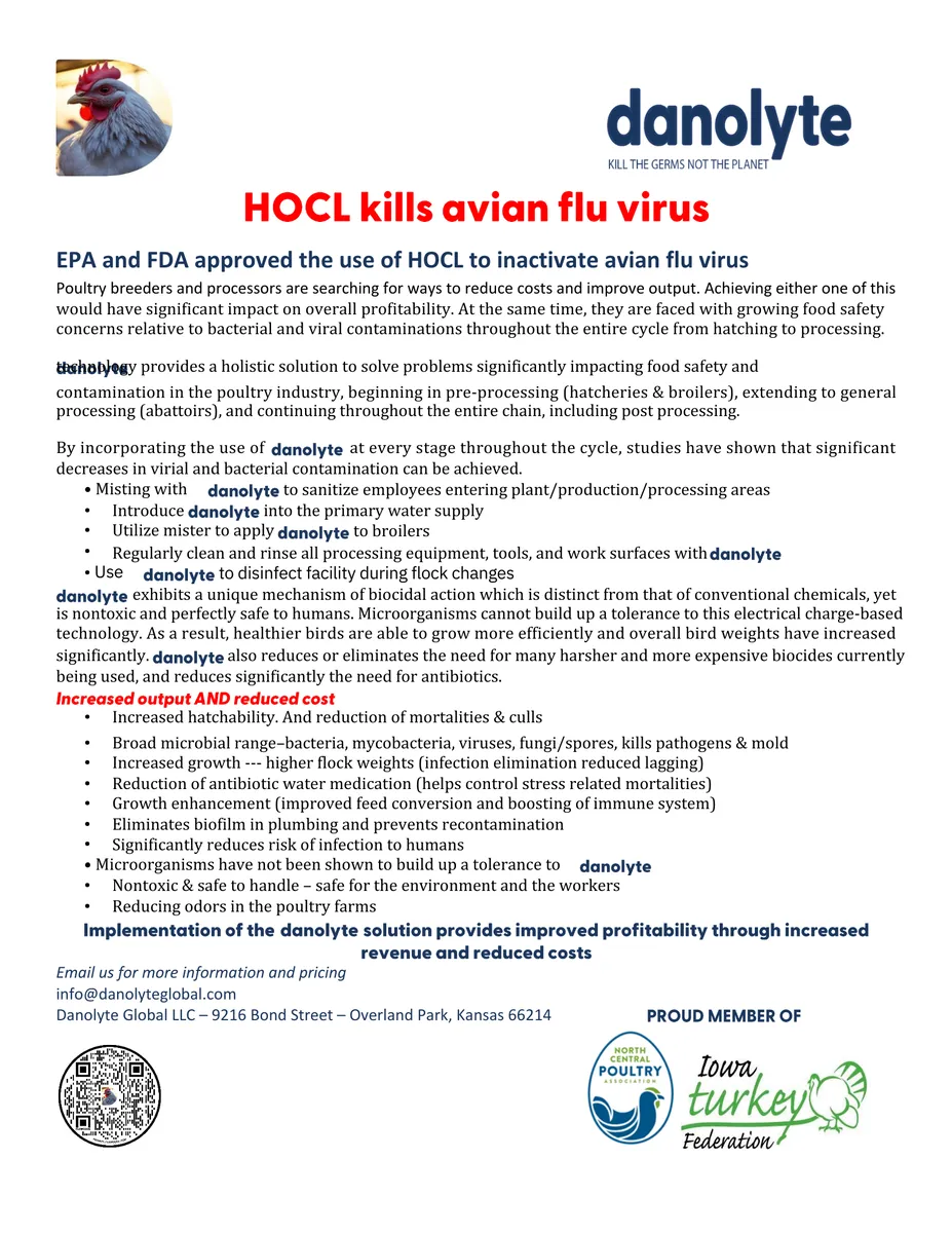 Understanding Avian Flu in Poultry Prevention and Control
