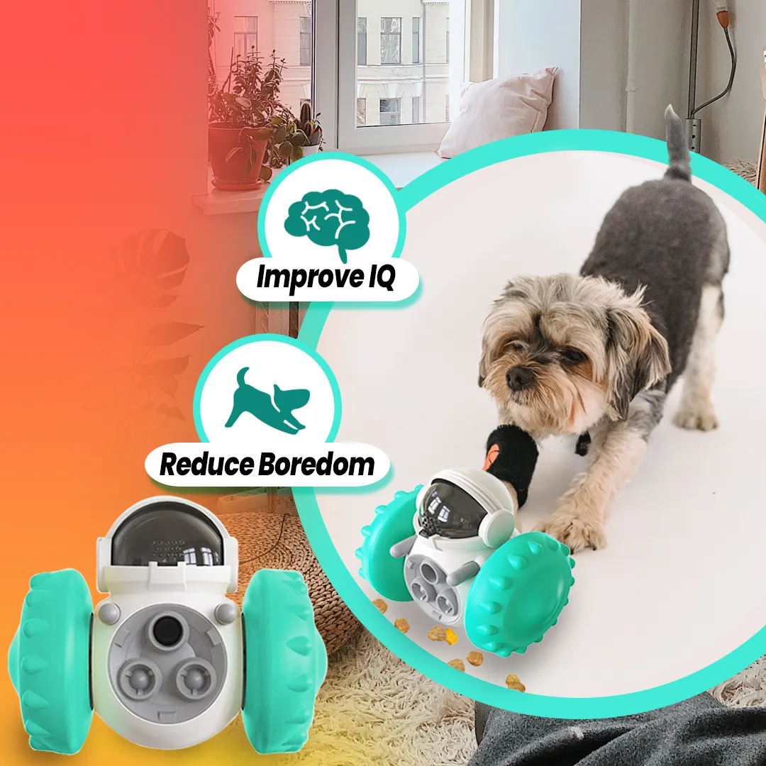 Dog Entertainment - Keep Your Dog Engaged for Hours! 