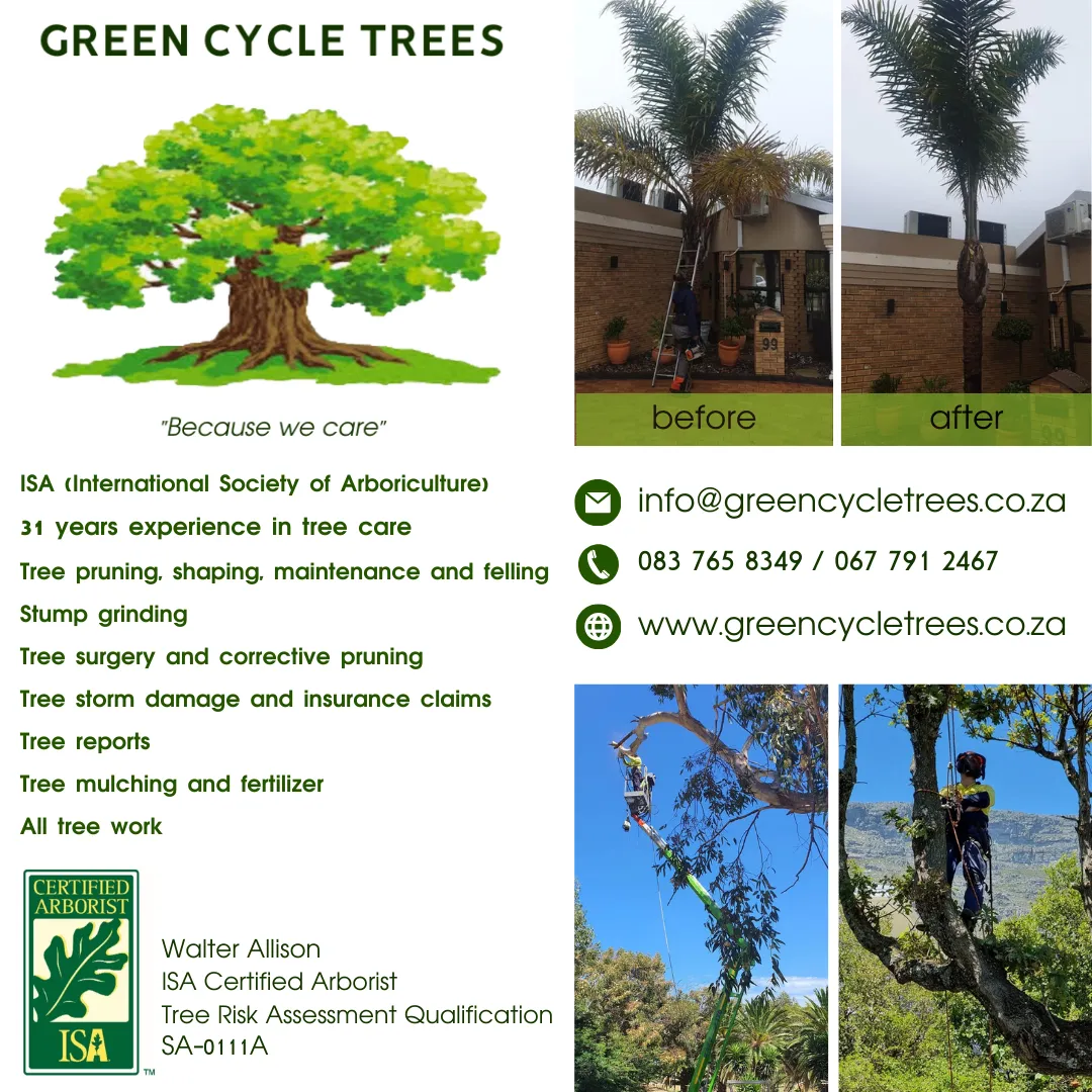 Green Cycle Tree 