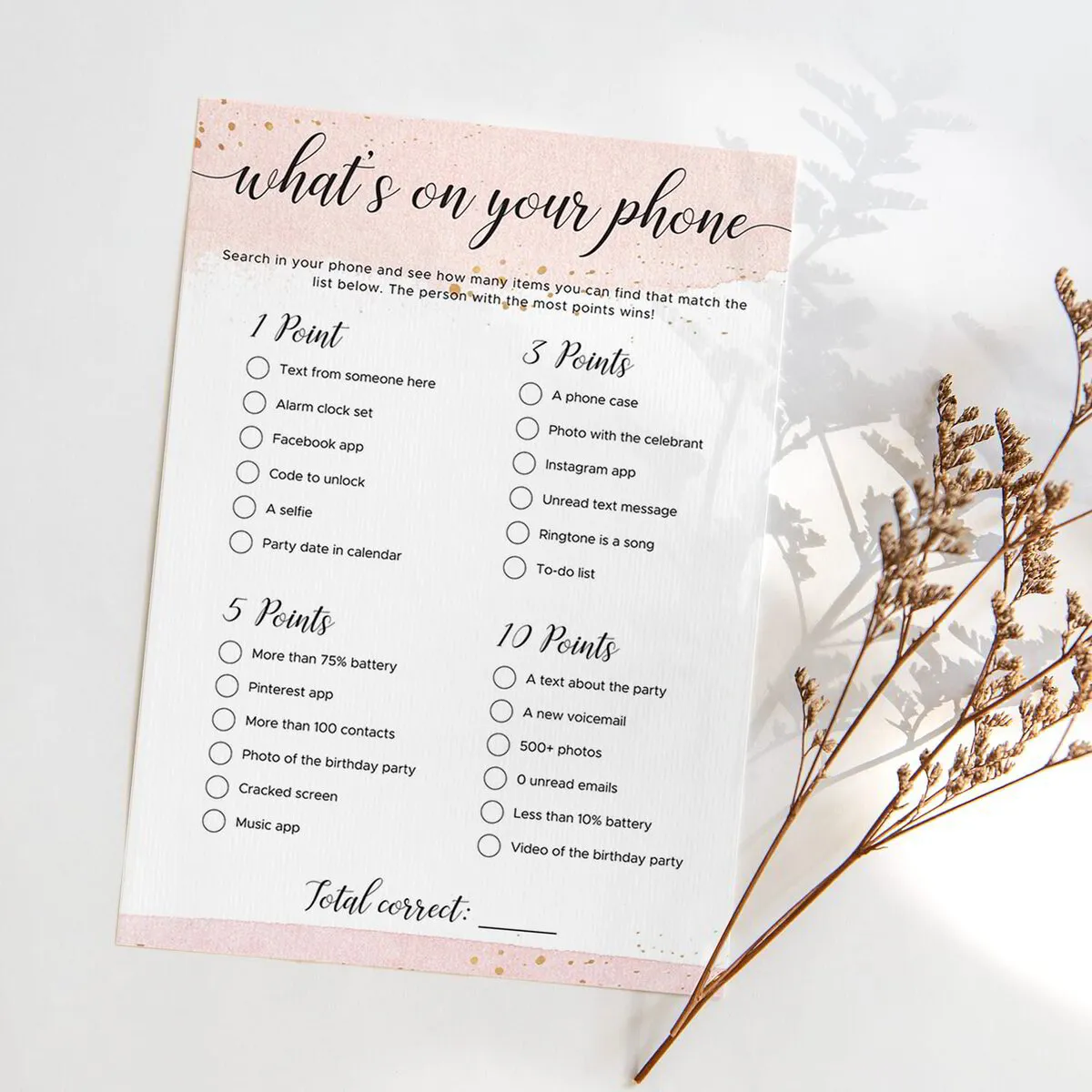 Blush Birthday What's On Your Phone Game Printable