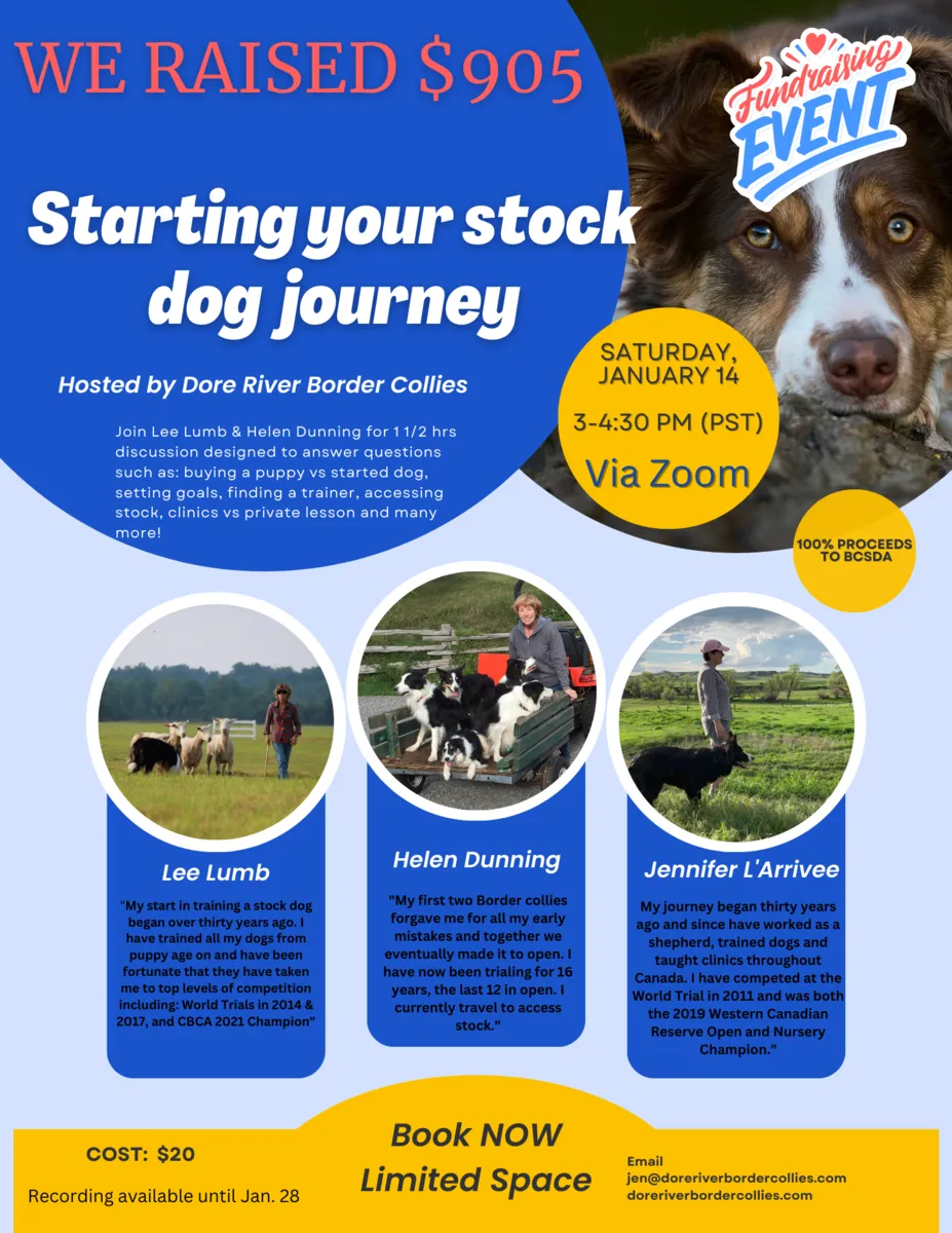 Starting your stock dog journey