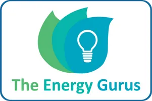 The Energy Gurus