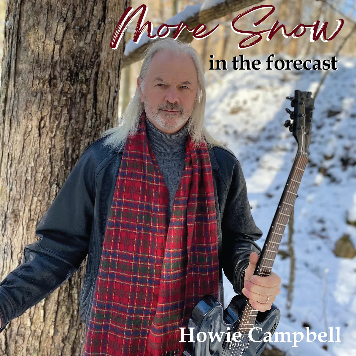 More Snow In The Forecast - Digital Download