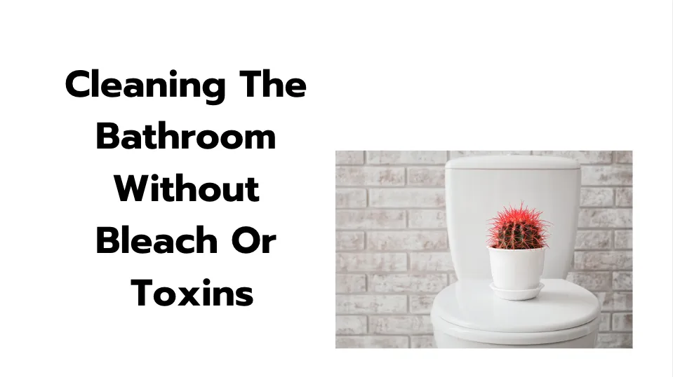 Cleaning The bathroom without bleach or toxins