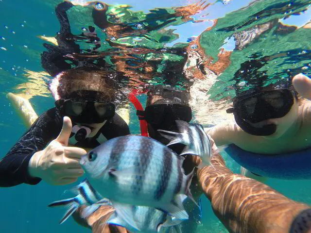 Snorkelling trip Fiji