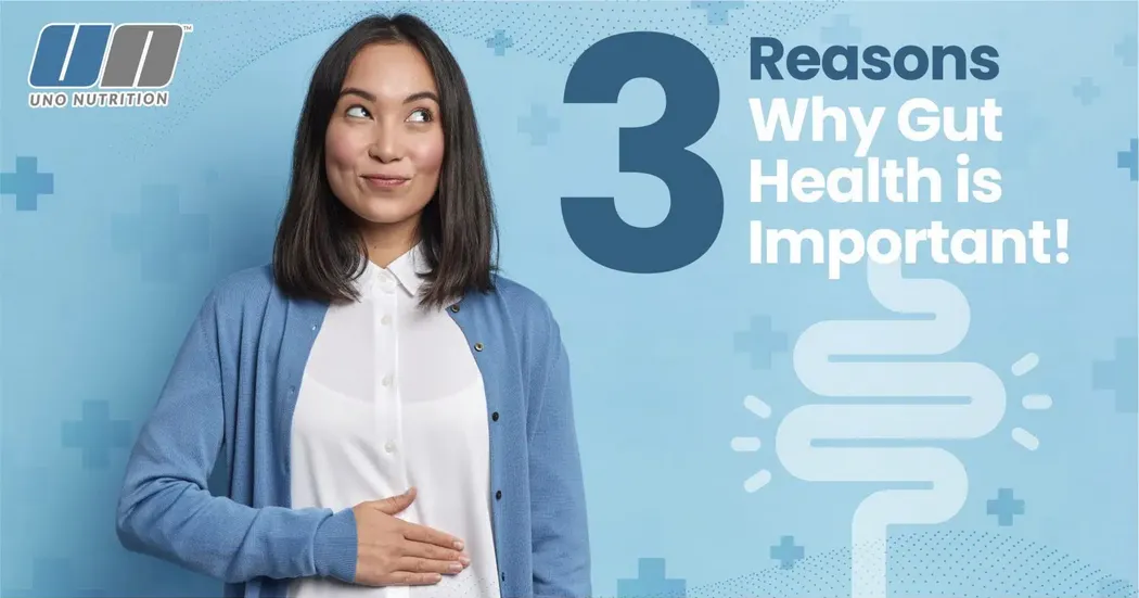 Three Reasons Why Gut Health Is Important